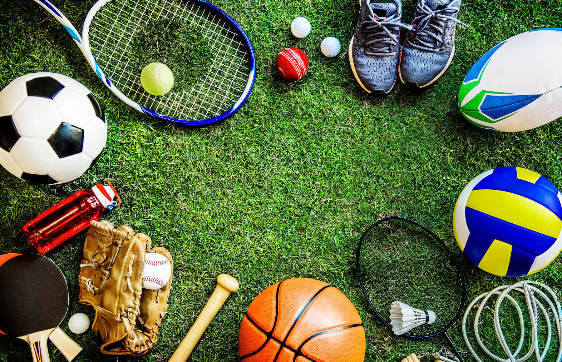 Athlètes et disciplines sportives encadrés par la fédération